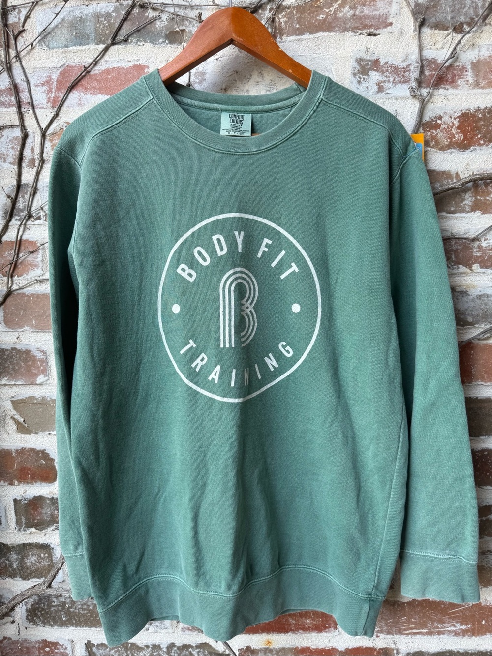 🌿 Comfort Colors Faded Sage Green BFT Crewneck Sweatshirt 🌿